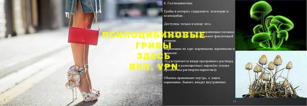 spice Алексеевка