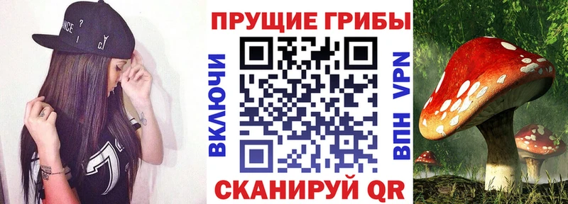 Галлюциногенные грибы Psilocybe  Переславль-Залесский 